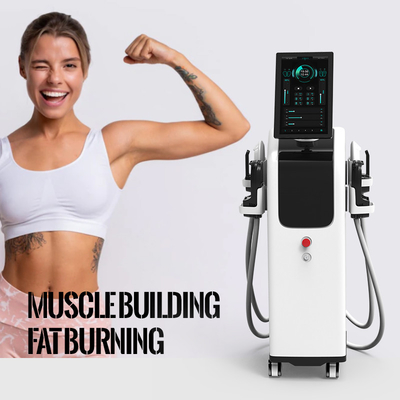 آلة النحت Ems المعتمدة من CE  Beauty Muscle Instrument Automatic Professional